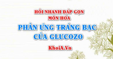 Phương trình phản ứng tráng bạc (tráng gương) của Glucozơ? Hỏi nhanh đáp gọn môn Hóa